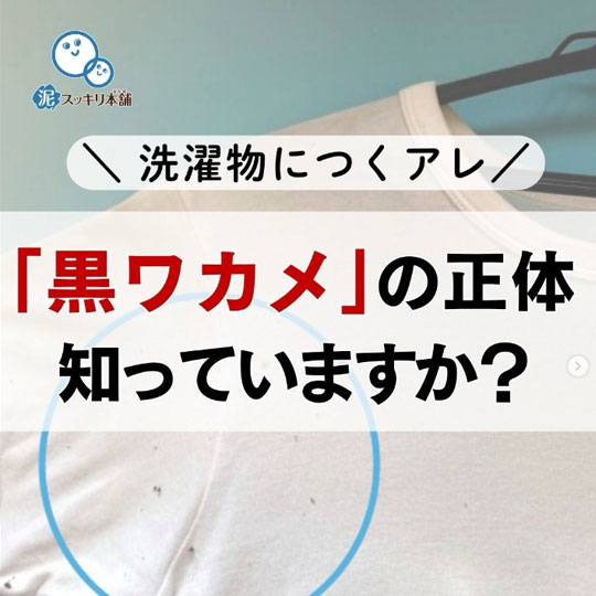 洗濯物につく「黒ワカメ」の正体 知ってますか？